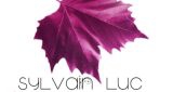 gagnez-l-album-organic-de-sylvain-luc
