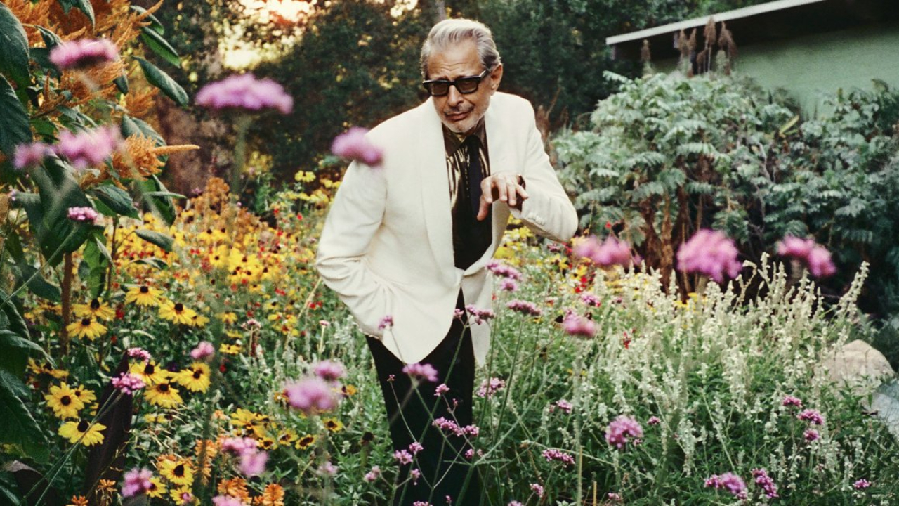 Jeff Goldblum & the Mildred Snitzer Orchestra de retour avec un nouvel album, ""Night Blooms" Jeff Goldblum & the Mildred Snitzer Orchestra de retour avec un nouvel album, ""Night Blooms"