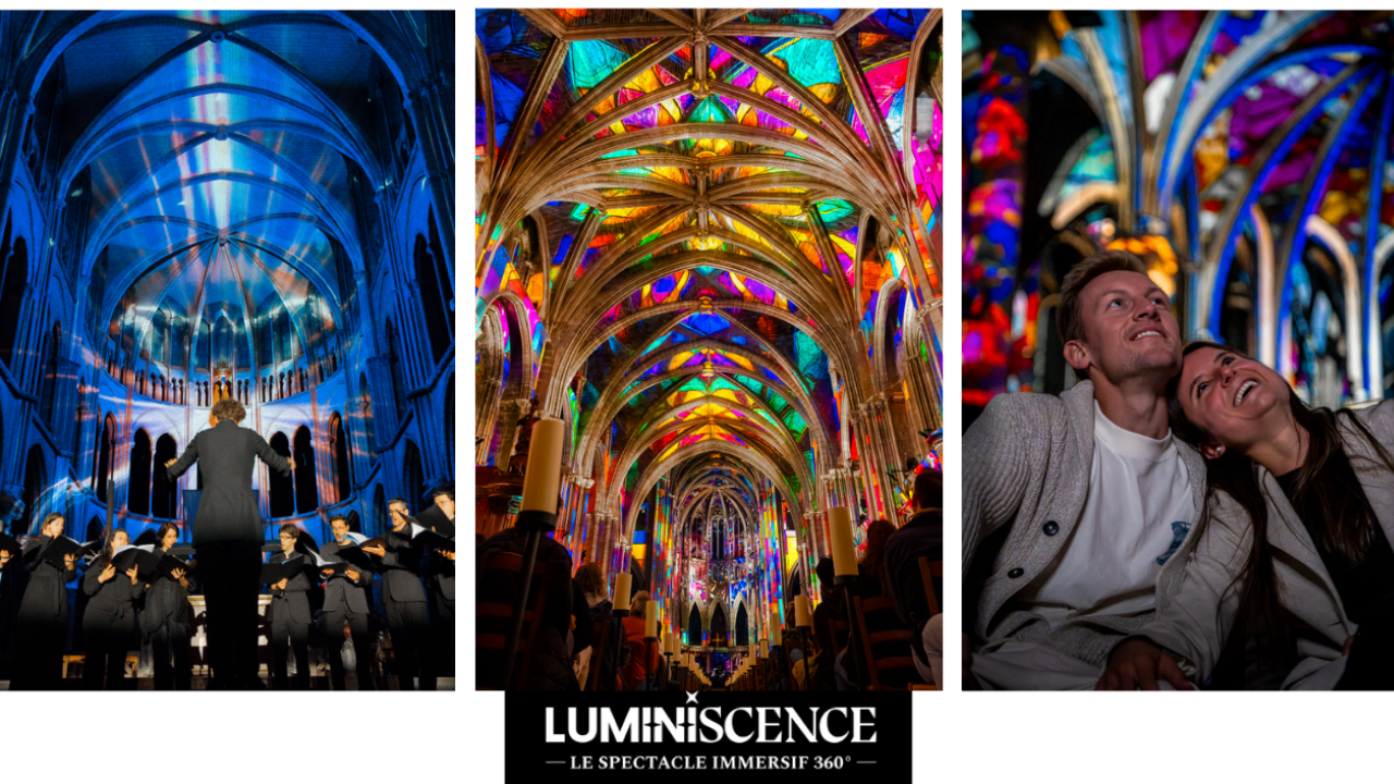 Luminiscence revient à Lyon avec un nouveau spectacle Luminiscence revient à Lyon avec un nouveau spectacle