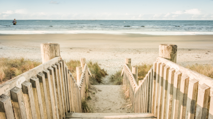 Été 2025 : la playlist estivale et ensoleillée de Jazz Radio Été 2025 : la playlist estivale et ensoleillée de Jazz Radio