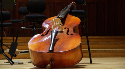 Insolite : l'amende injustifiée d'un musicien à cause de... sa contrebasse