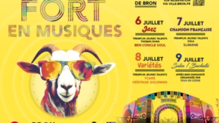 Jazz Radio partenaire de Fort en Musiques à Bron !