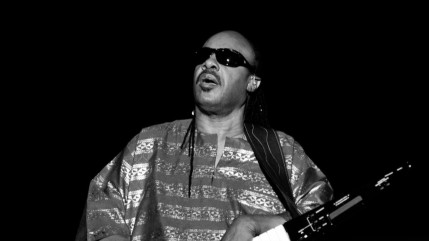 Stevie Wonder, Norah jones, Diana Krall : les artistes se mobilisent contre l'IA Stevie Wonder, Norah jones, Diana Krall : les artistes se mobilisent contre l'IA